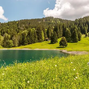 Waldhorn *** Jungholz